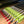 arrows with mod archery arrow wraps