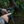 man using the collapsible arrow spinner, spinex, out in the woods